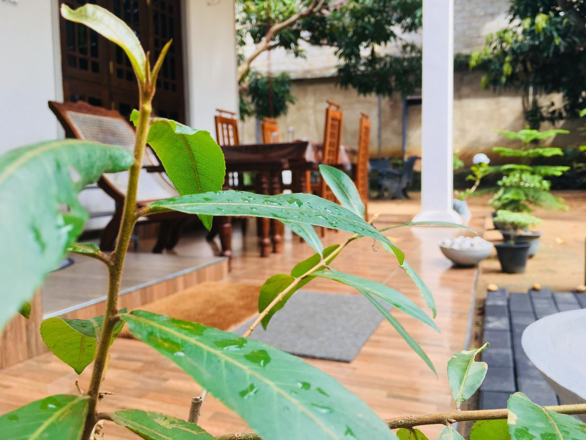Hotel Perfect Hideout Dambulla Exterior foto